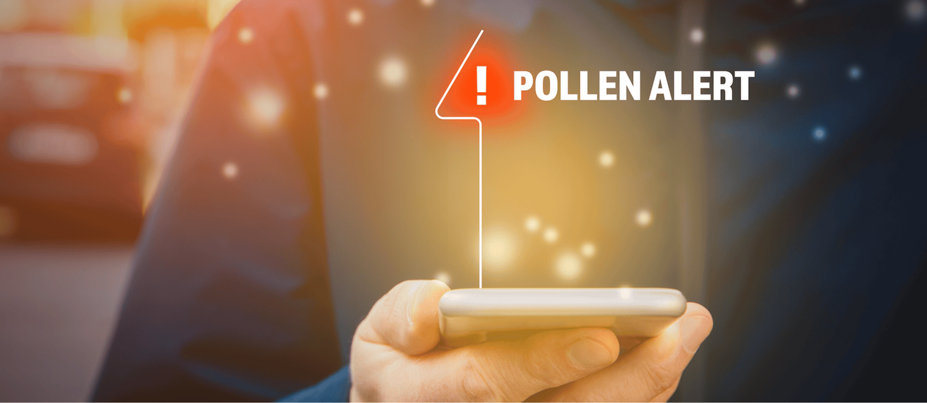 Allergie-Apps im Überblick: Kostenfreie Unterstützung bei Pollenbelastung