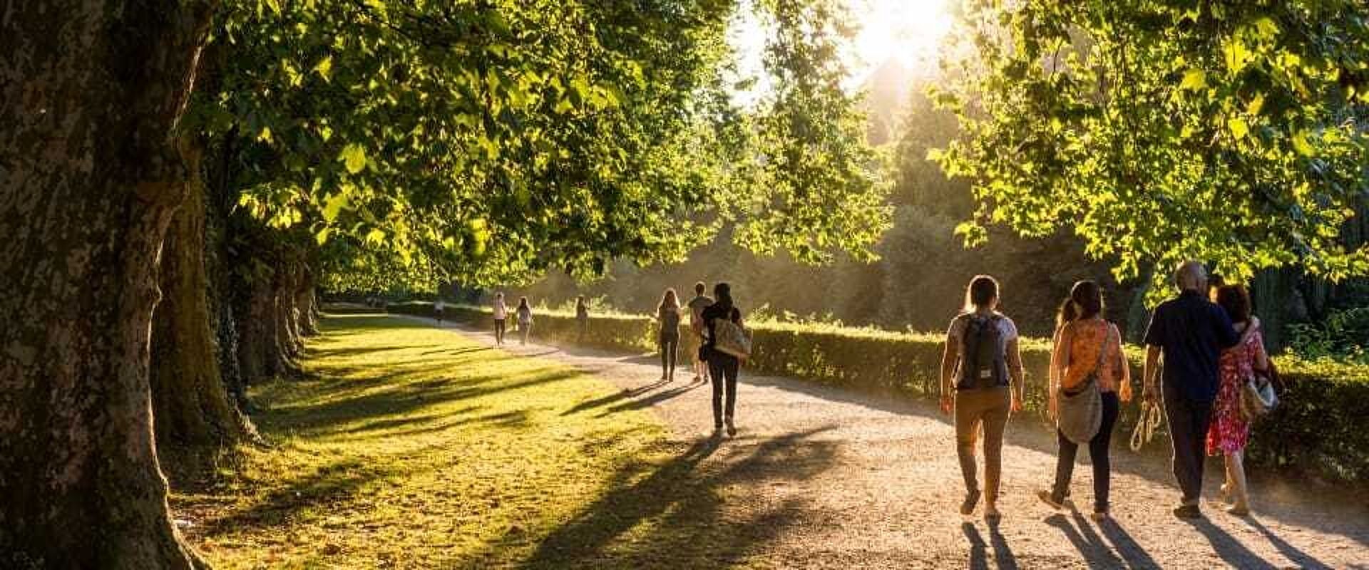 Menschen spazieren in einem Park mit Bäumen.