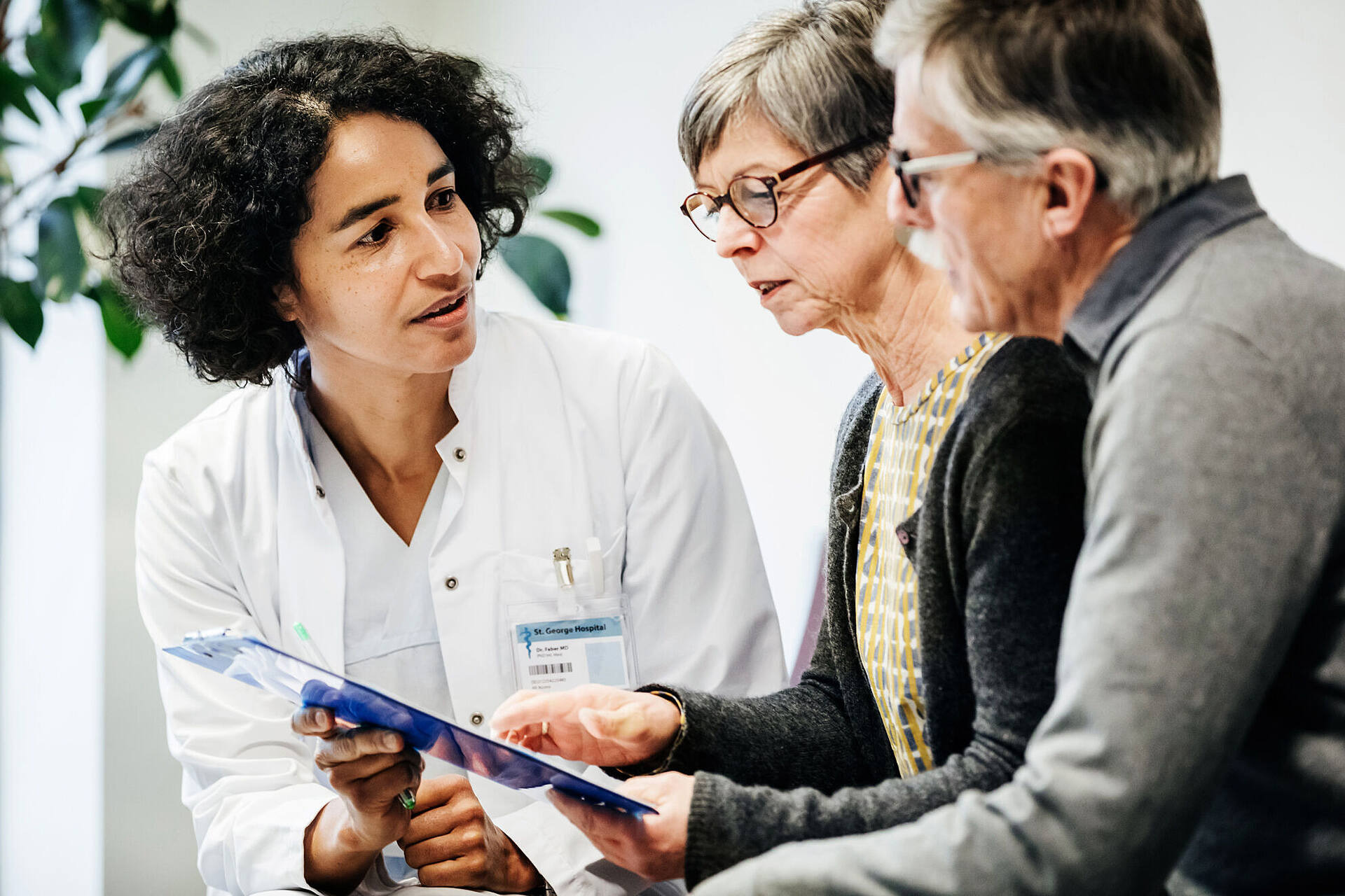 Kommunen stark machen gegen Zecken und Mücken