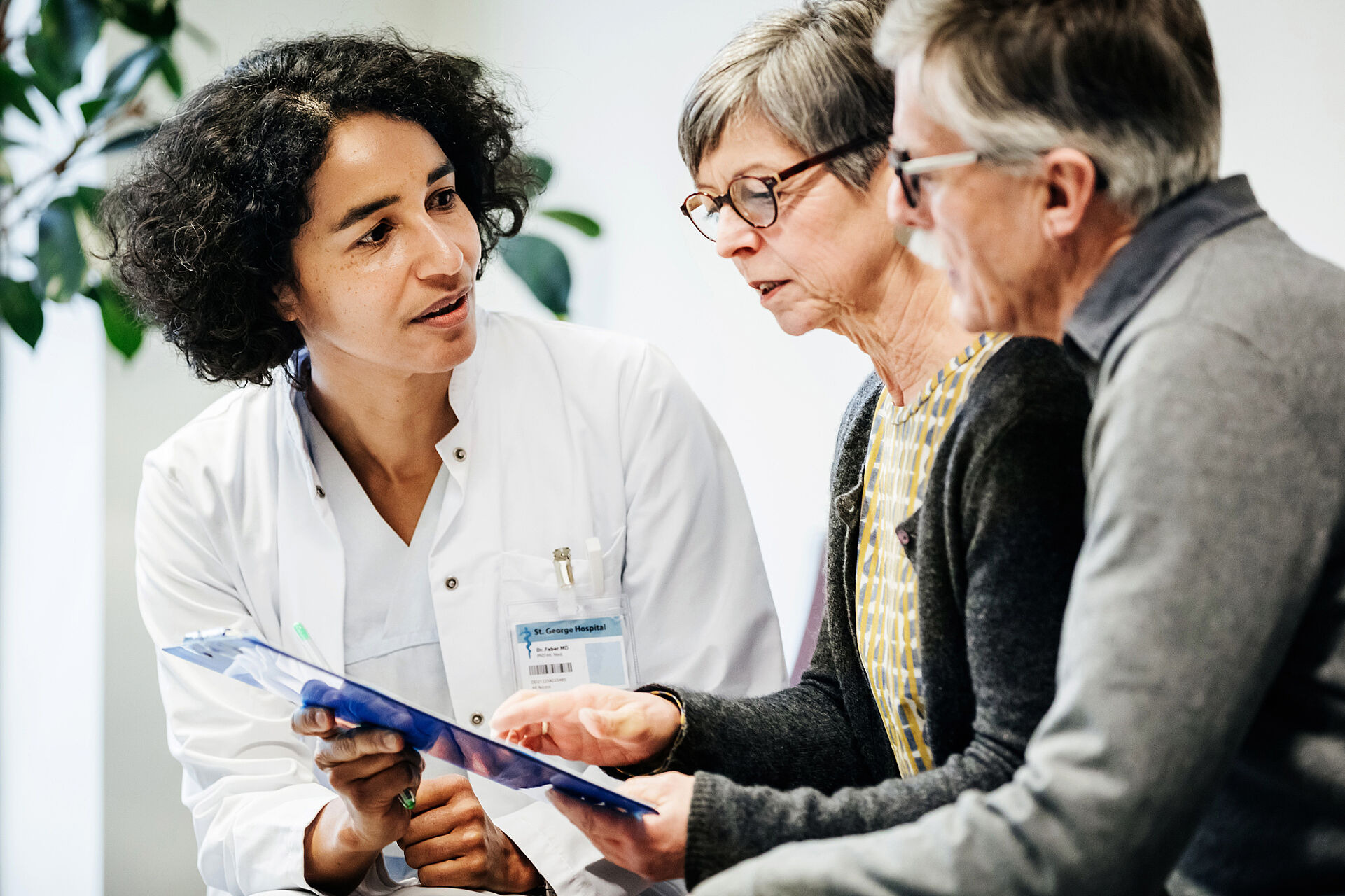 Kommunen stark machen gegen Zecken und Mücken