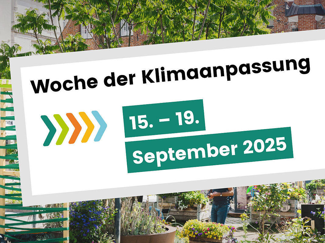 Blühender Stadtgarten mit Einblendung "Woche der Klimaanpassung"