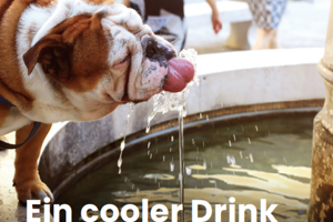 Verteilkarte: Ein cooler Drink für heiße Tage