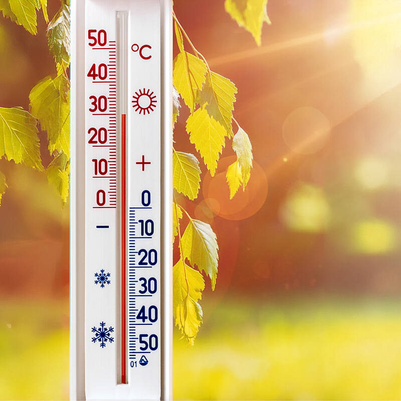 Nahaufnahme eines weißen Außenthermometers vor grün-gelben Blättern im Sonnenlicht. Die Skala zeigt Temperaturen von –50 bis +50 °C, mit roten Markierungen für Plusgrade und blauen für Minusgrade. Das Thermometer steht bei etwa 25 °C, was auf warmes Wetter hinweist.