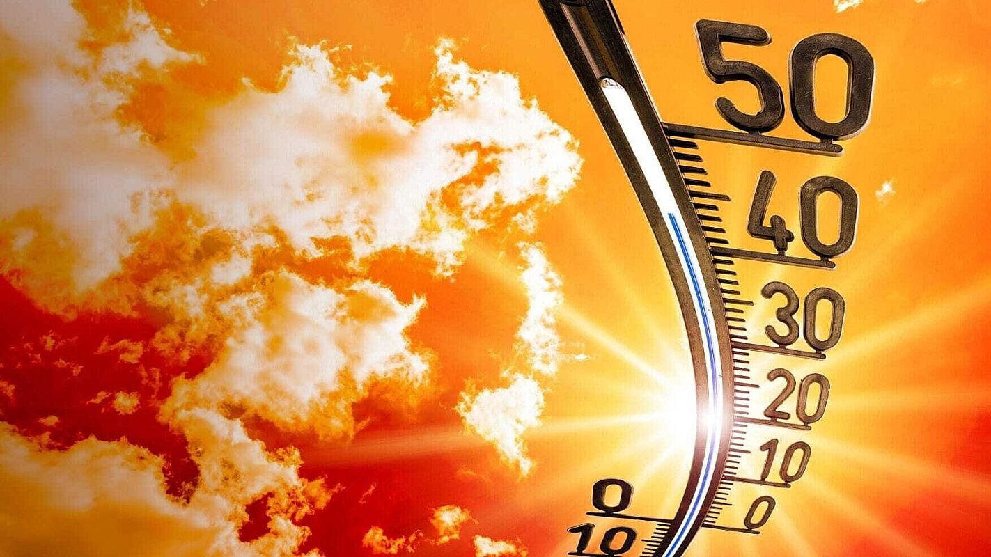 Quiz – Was ist bei Hitzewellen zu beachten?