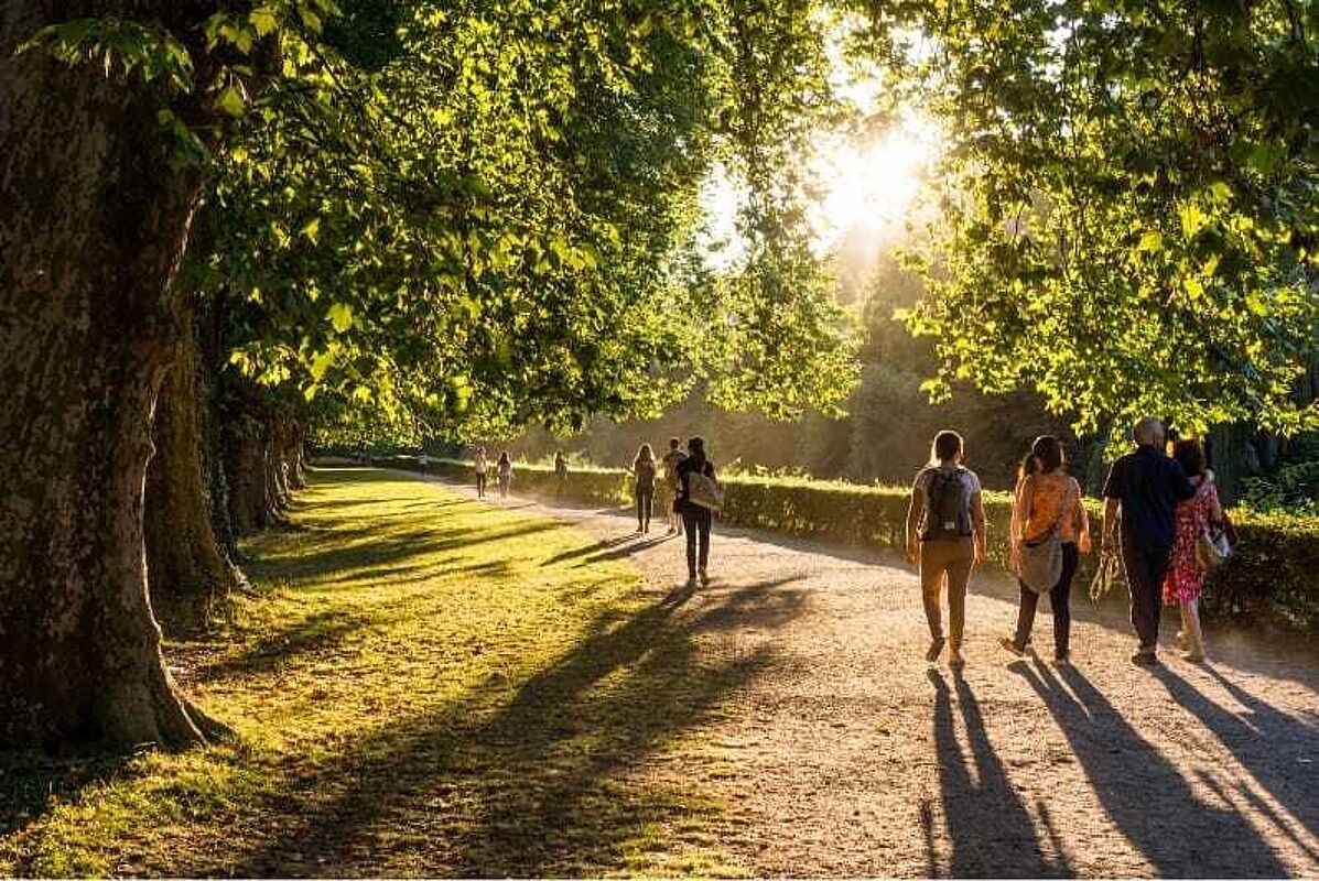 Menschen spazieren in einem sonnenbeschienenen Park mit Bäumen.