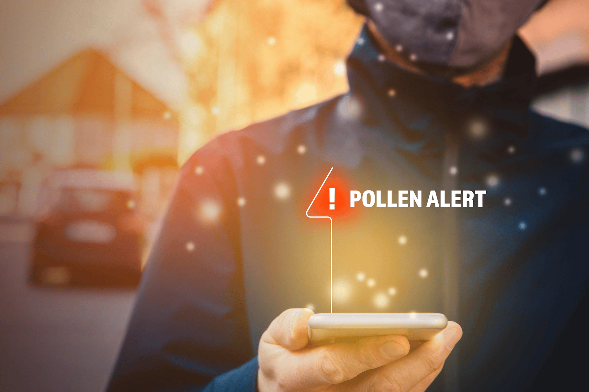 Das richtige Pollen-Timing beachten