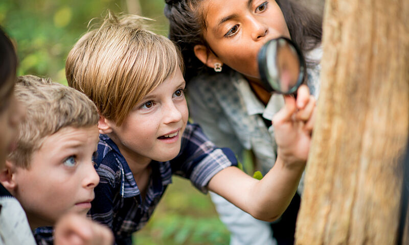 Tipps für Kitas und Schulen