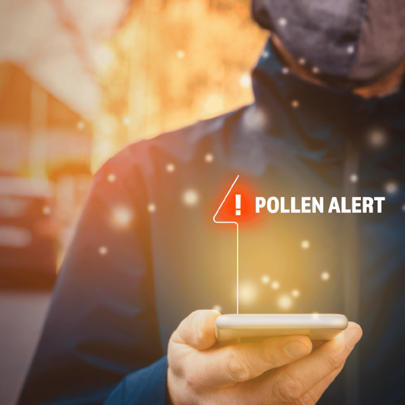 Eine Warnung vor Pollenflug erscheint auf einem Handy