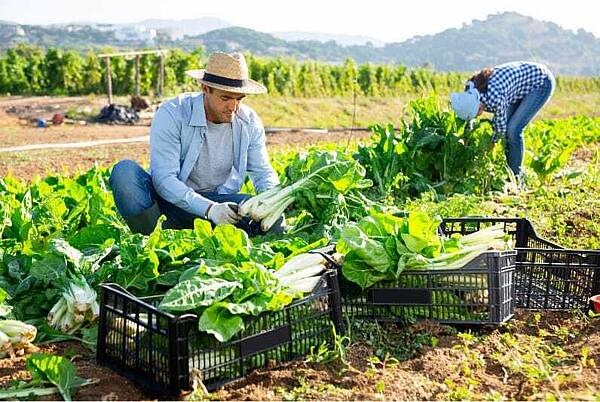 Tipps für Beschäftigte